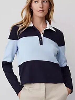 Ann Taylor Polo Night Sky